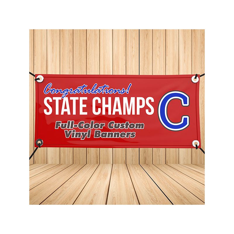 Full-Color Custom Vinyl Banner, Choose a Size